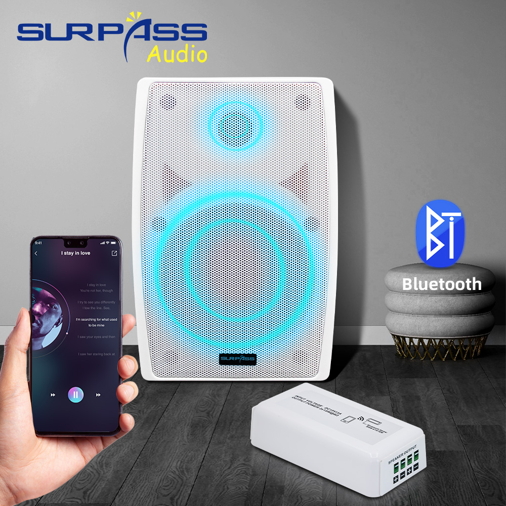 Smart Home Audio Mini Bluetoot - Audio Music Store บทวิจารณ์และราคา