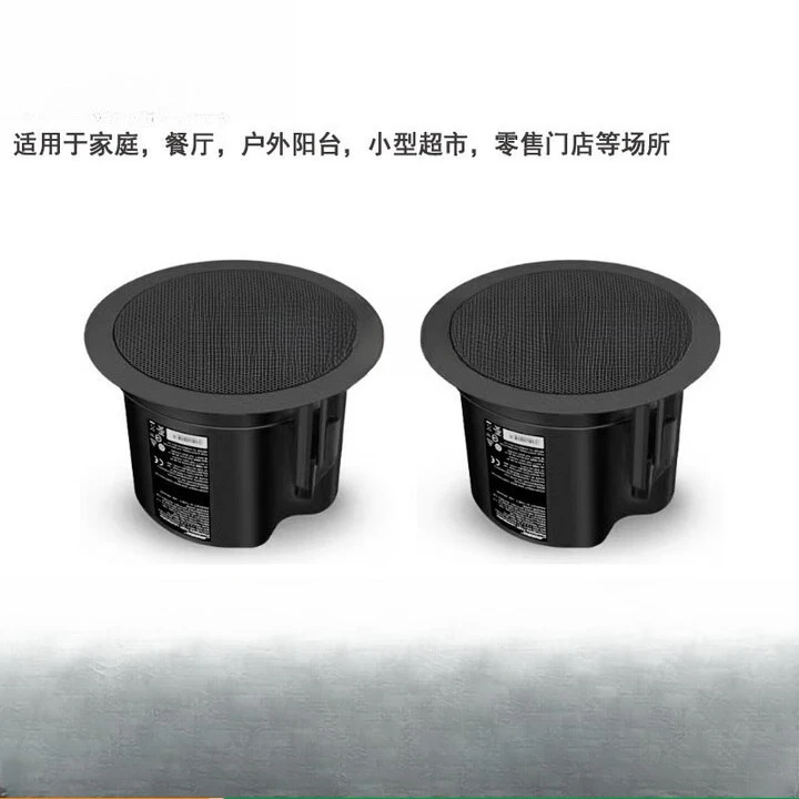 Ceiling audio, fixed pressure  - Audio Music Store บทวิจารณ์และราคา