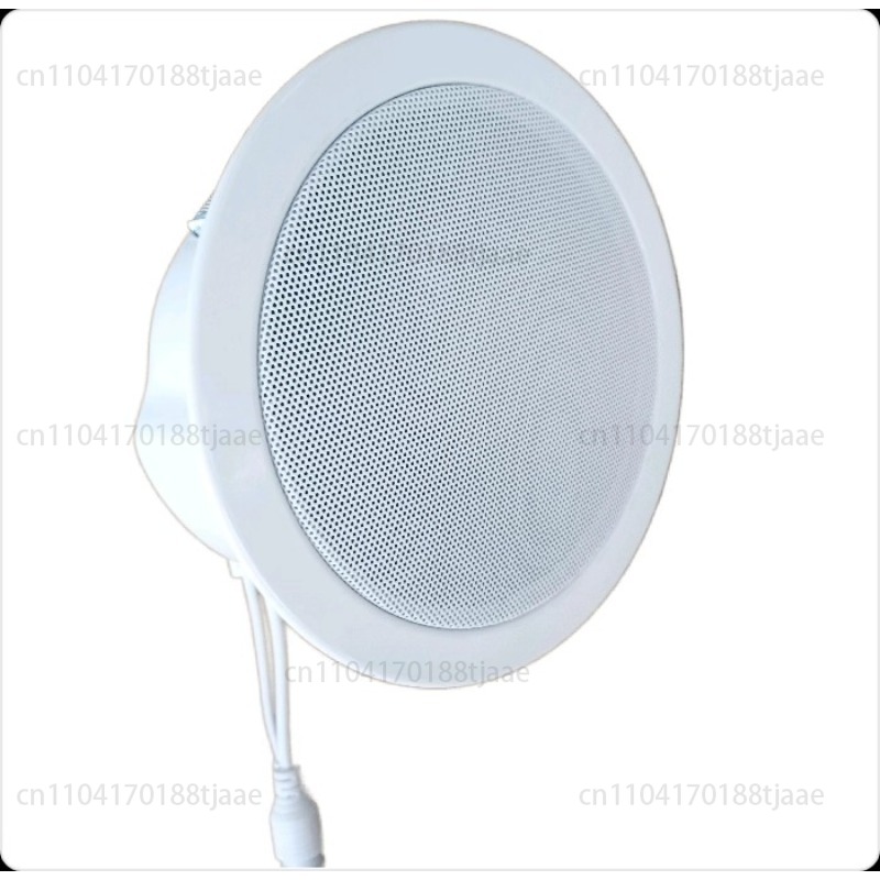 IP Network Speaker, Ceiling Au - Audio Music Store บทวิจารณ์และราคา